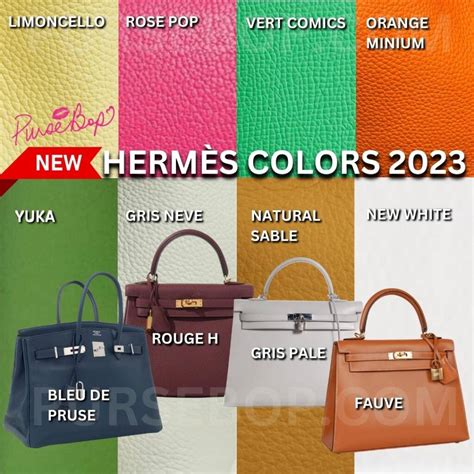 hermes special order 2019|hermès special order colors 2023.